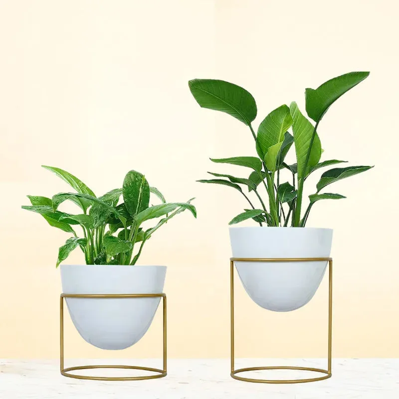 Alle Metal Plant Pot with Stand | Set of 2 | Multiple Colors