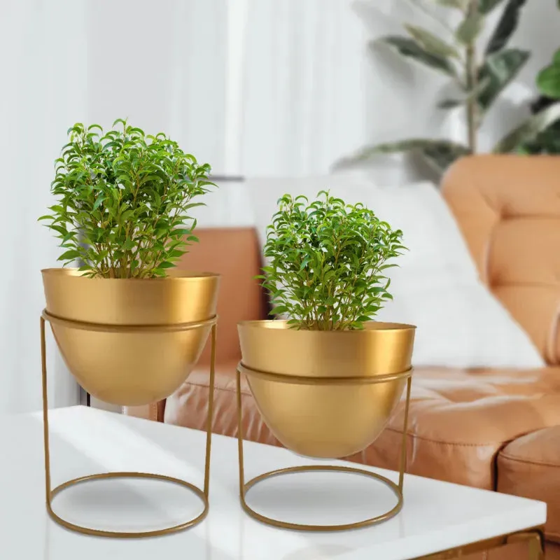 Alle Metal Plant Pot with Stand | Set of 2 | Multiple Colors