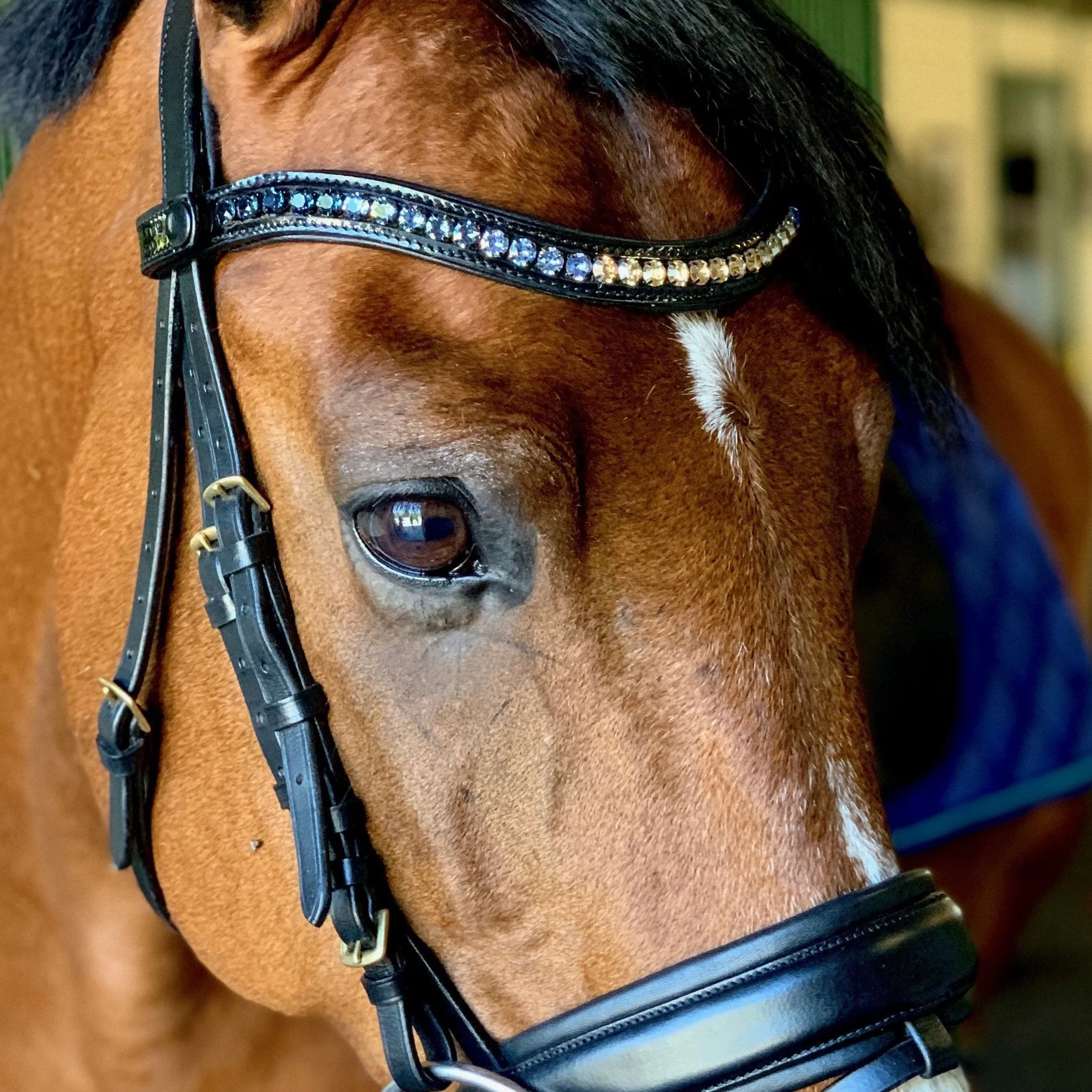 Halter Ego® Crystal Patent Browband - Dusk To Dawn